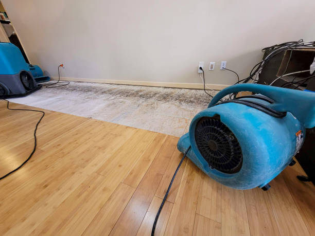 Professional Burst Pipe Water Damage technician working in Rocky Ridge, OH